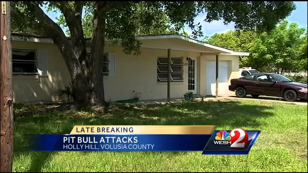 2 pit bulls get loose, attack 3 people in Holly Hill