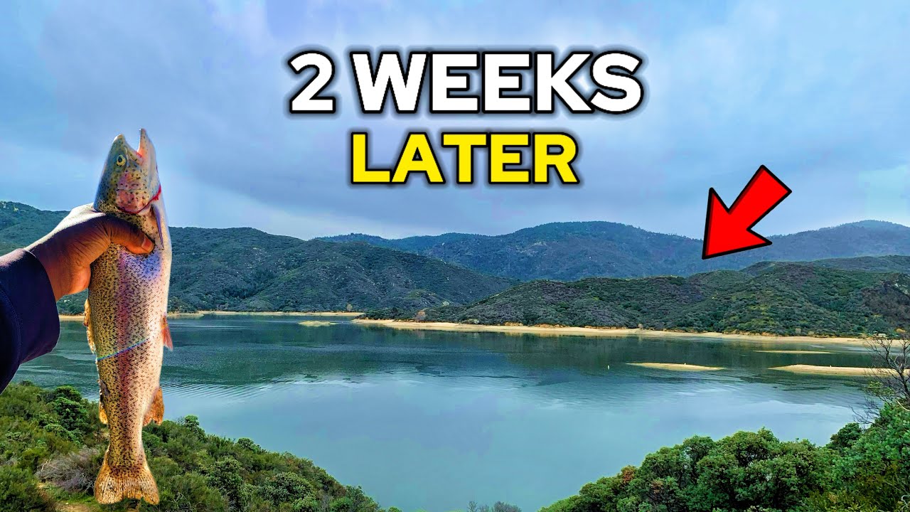 Epic Socal Trout fishing: 2 weeks after stock day(catch & cook)