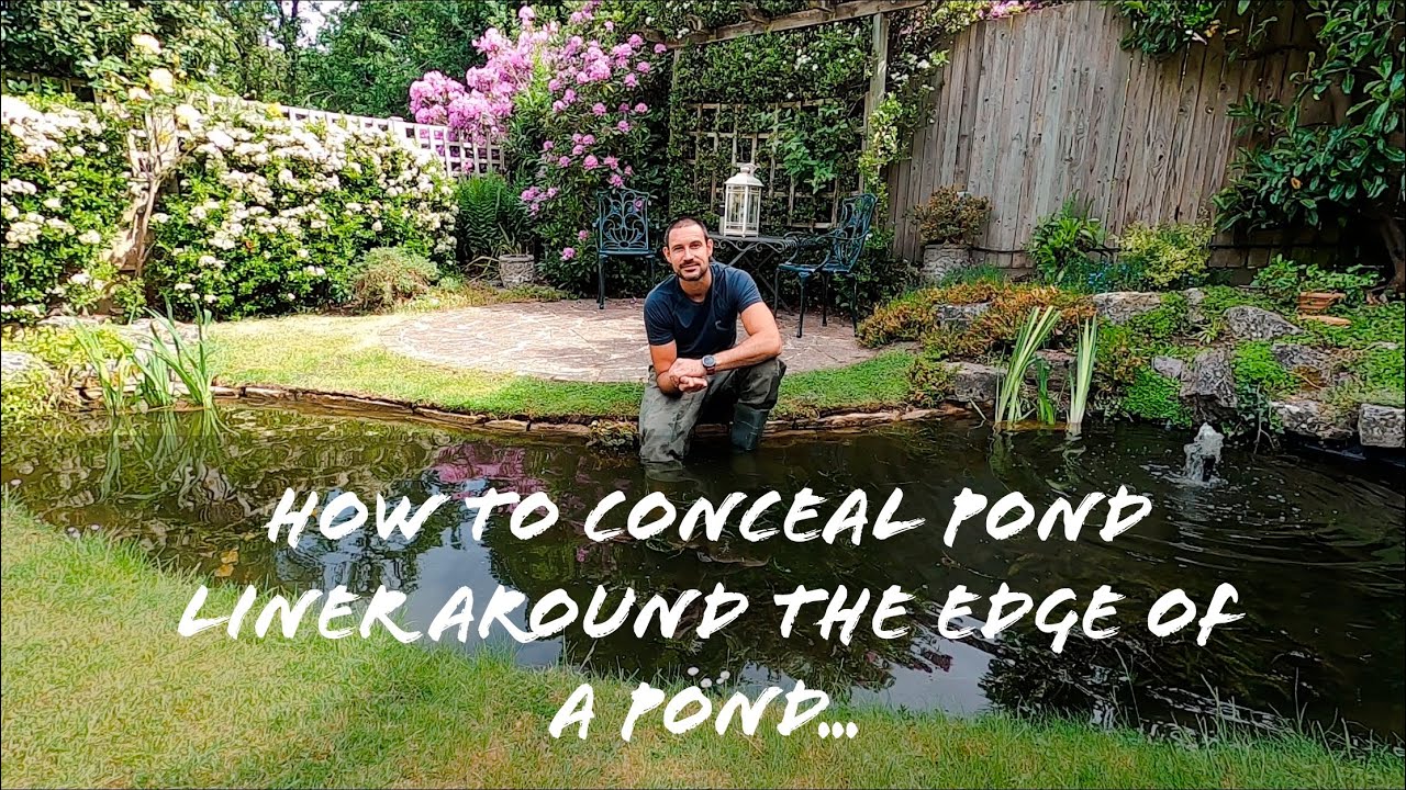 How to hide pond liner around the edge of a pond.
