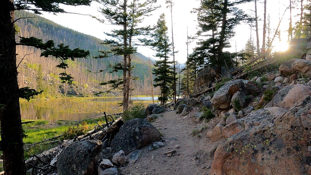 Cub Lake Trail at Rocky Mountain NP - 4K -