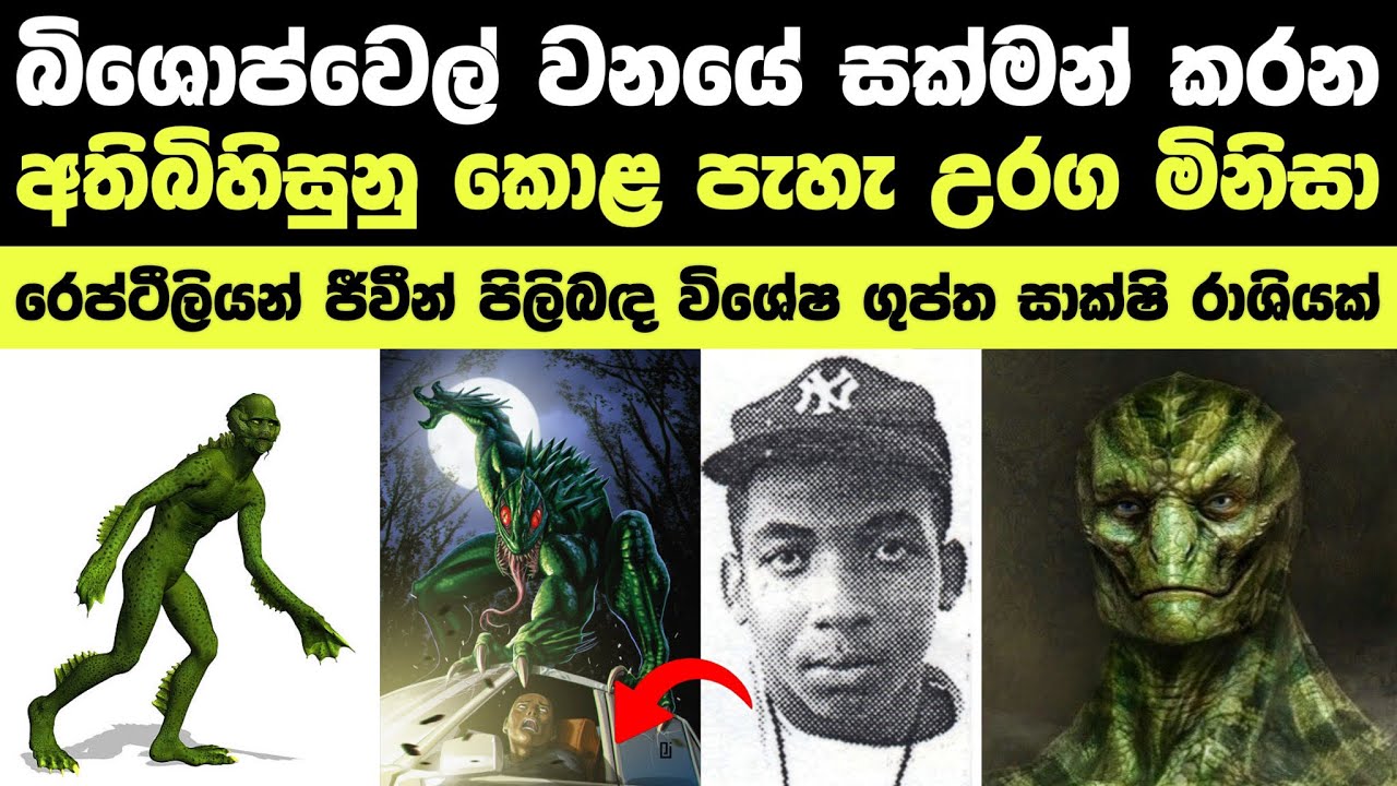 බිශොප්වෙල් උරග මිනිසාගේ අභිරහස | Lizard Man in Bishopwell || Reptelian 🦎