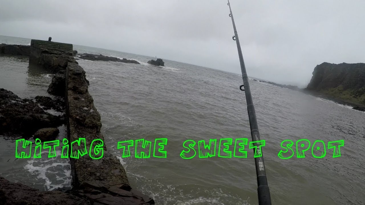 Fishing at Arbroath at the sweet spot