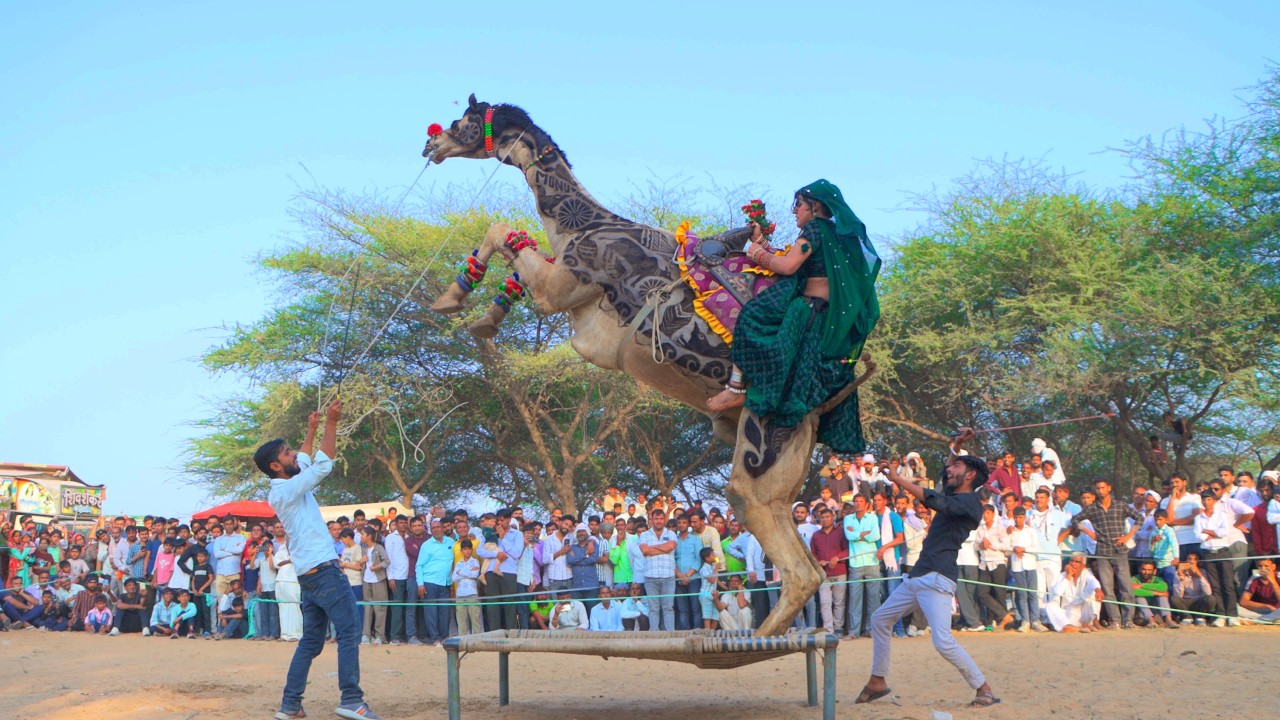 🐪 Dangerous Camel Jump &ndash; Crowd Shocked! | New Rajasthani Song 2026 | Priyansu Sihag #CamelDance