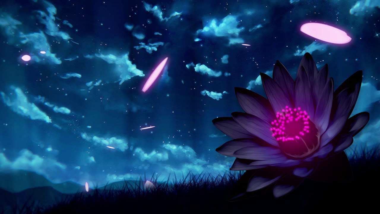 Echobreak - Black Lotus  ブラックロータス (Official Visual)