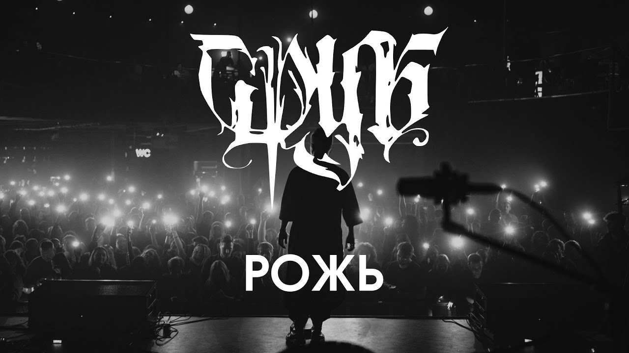 Сруб - Рожь (Санкт-Петербург Live 2025)