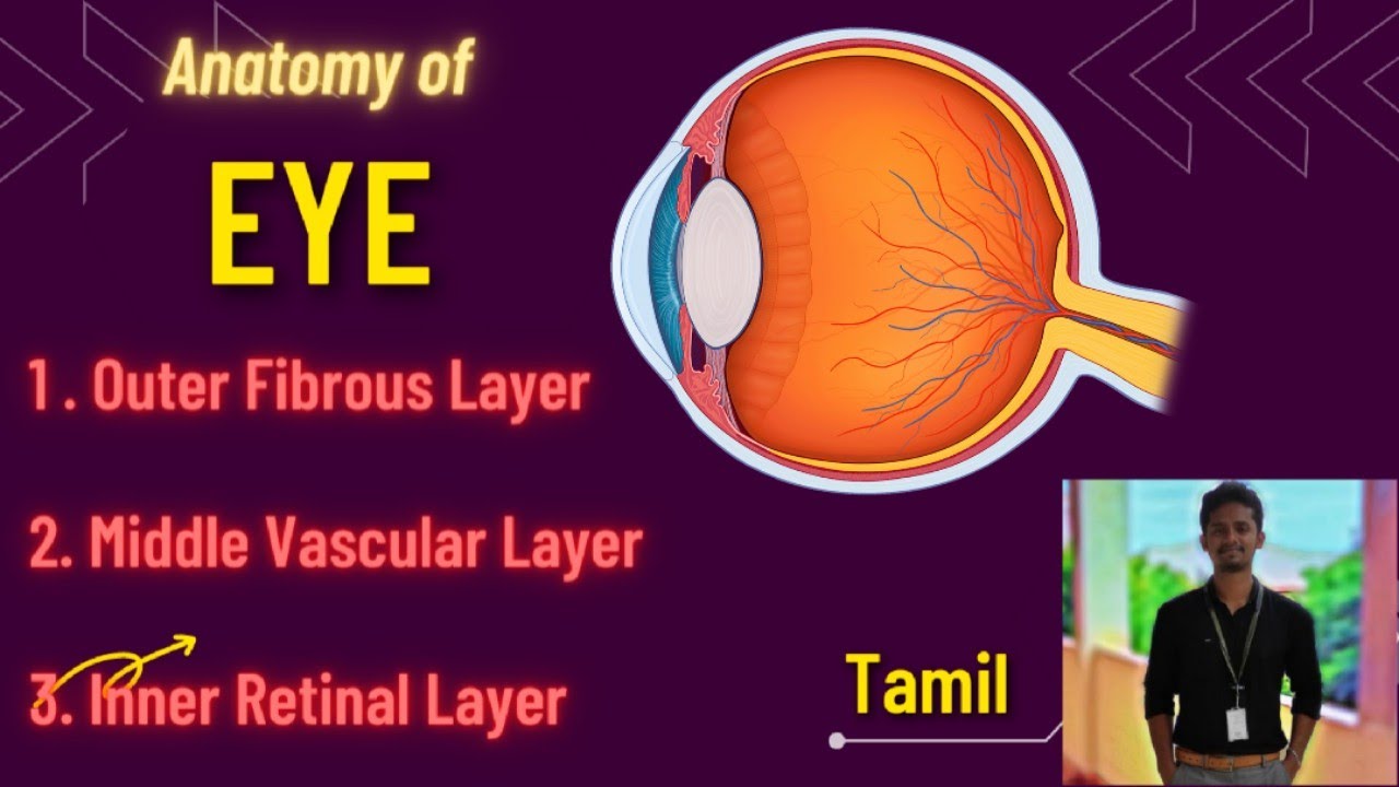 #20 Anatomy of Eye - Tamil