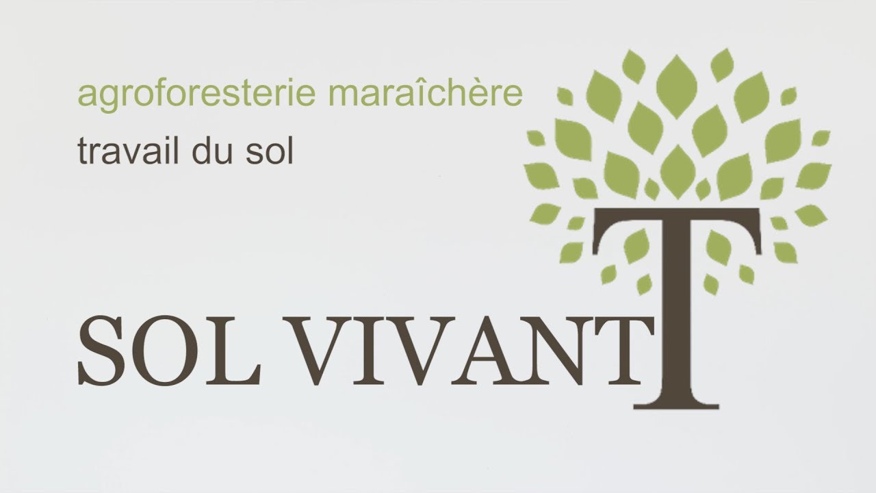 TRAVAIL DU SOL - Sol Vivant