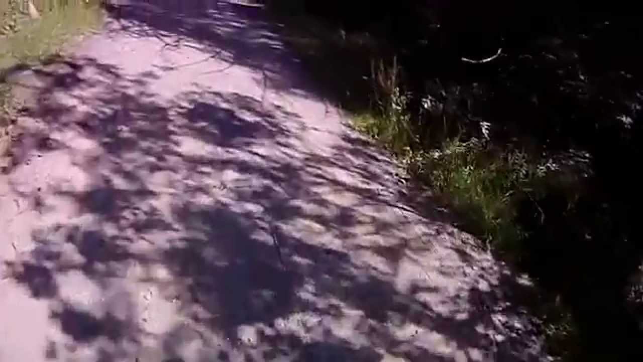 Poiana Beleuta de jos