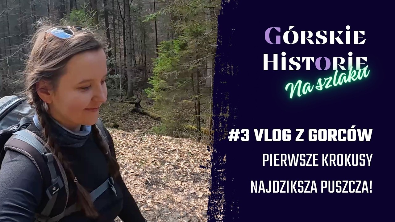 Krokusy | Legendy | Najstarszy rezerwat | Gorce #3: Koninki - Turbacz