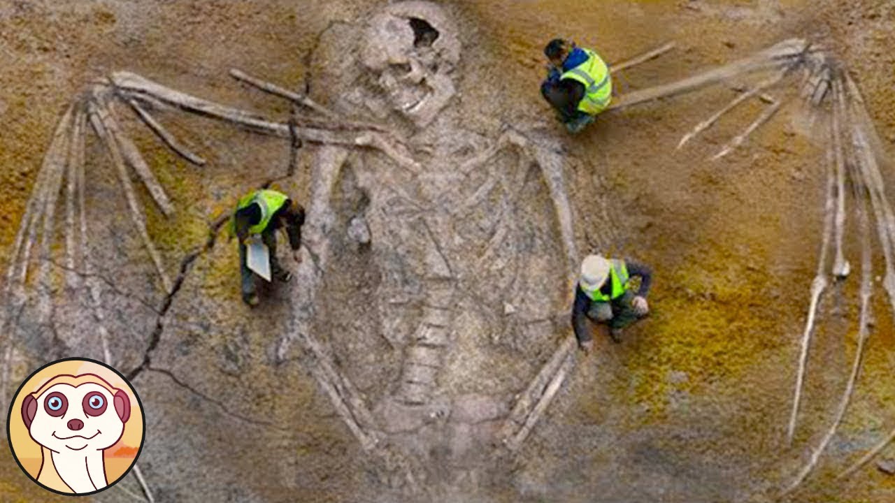MISTERIOSE SCOPERTE CHE LA SCIENZA NON SA SPIEGARE