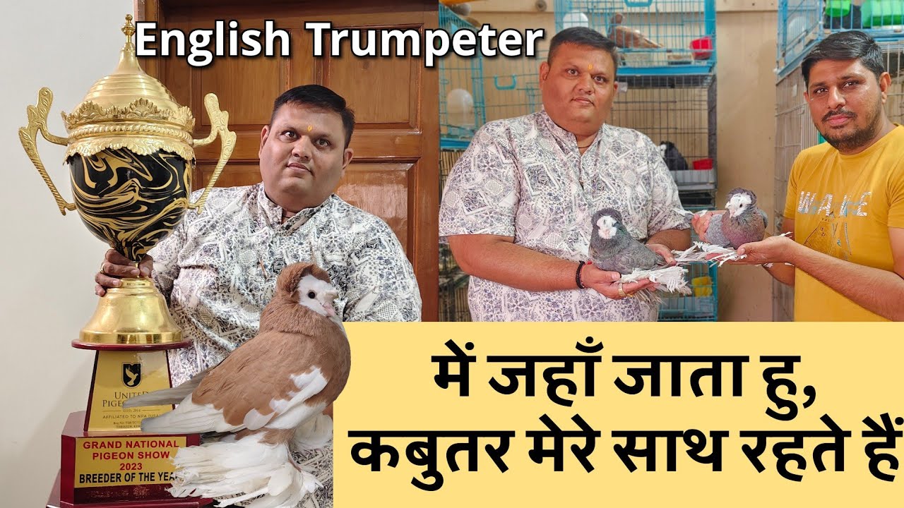 एक अनोखा कबुतर प्रेमी | English Trumpeter Pigeon Loft in Ahmedabad