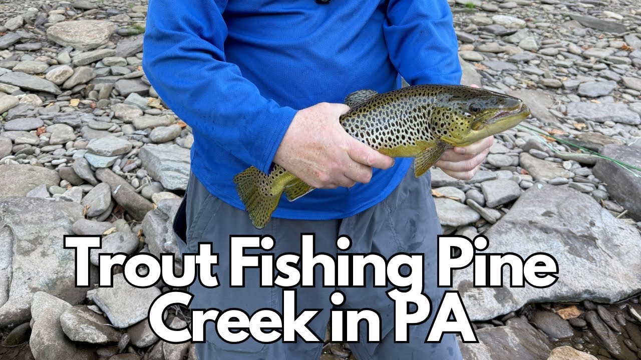 Trout Fishing Pine Creek in PA at Slate Run