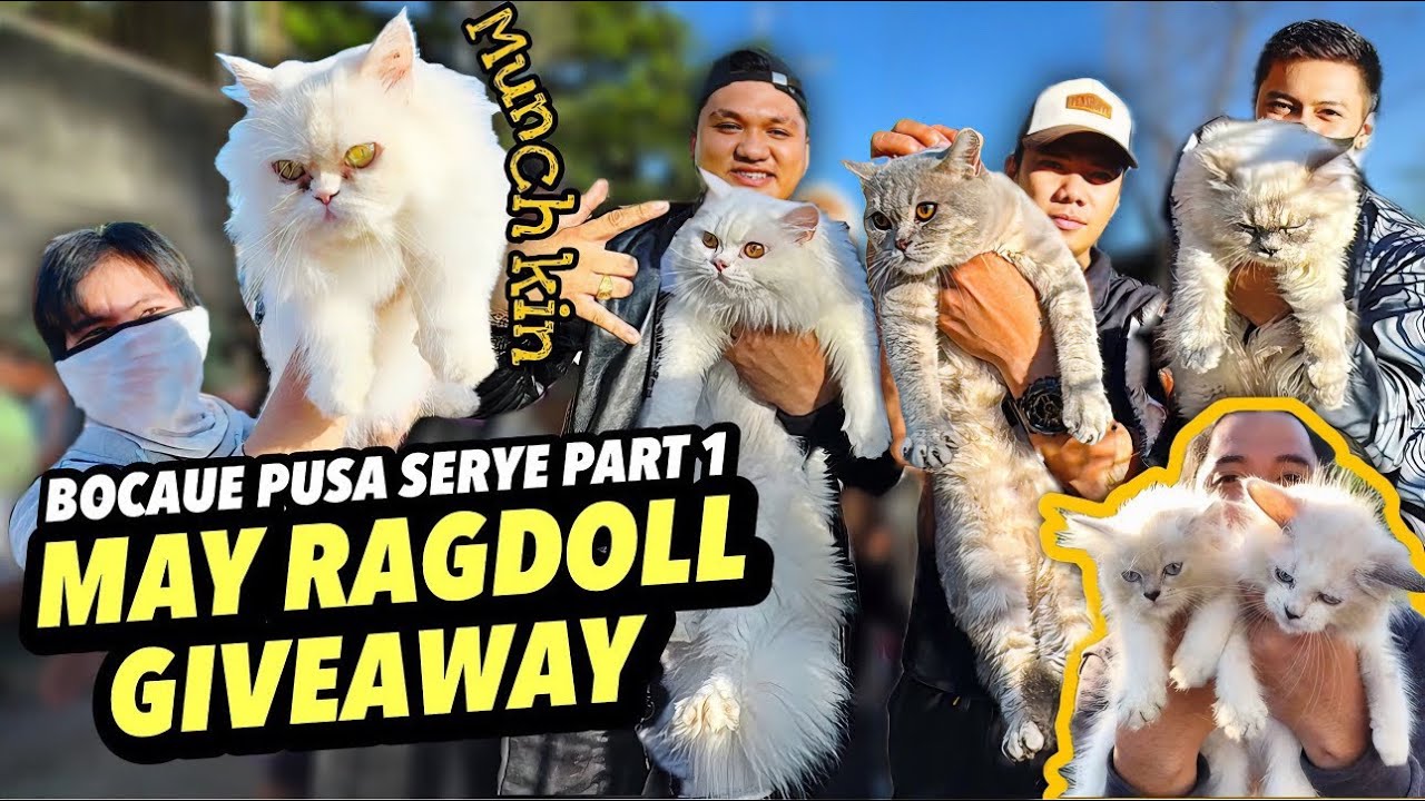 RAGDOLL GIVEAWAY NI KUYA ADRIAN | BOCAUE PUSA SERYE PART 1 | DECEMBER 06, 2024
