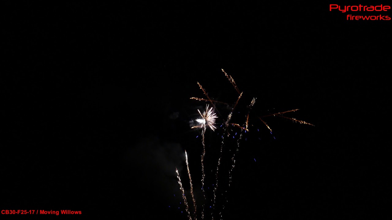 CB38-F25-17 Moving Willow, Pyrotrade Fireworks