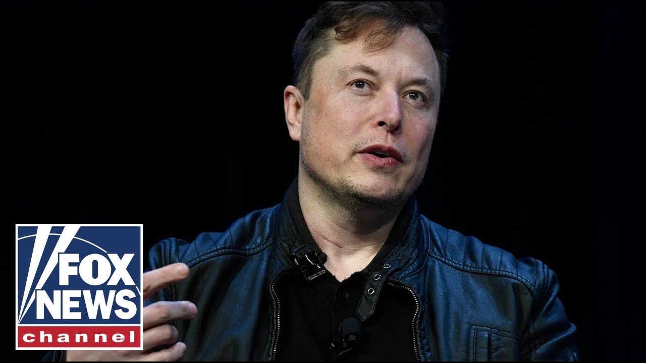 Elon Musk: DEI must DIE
