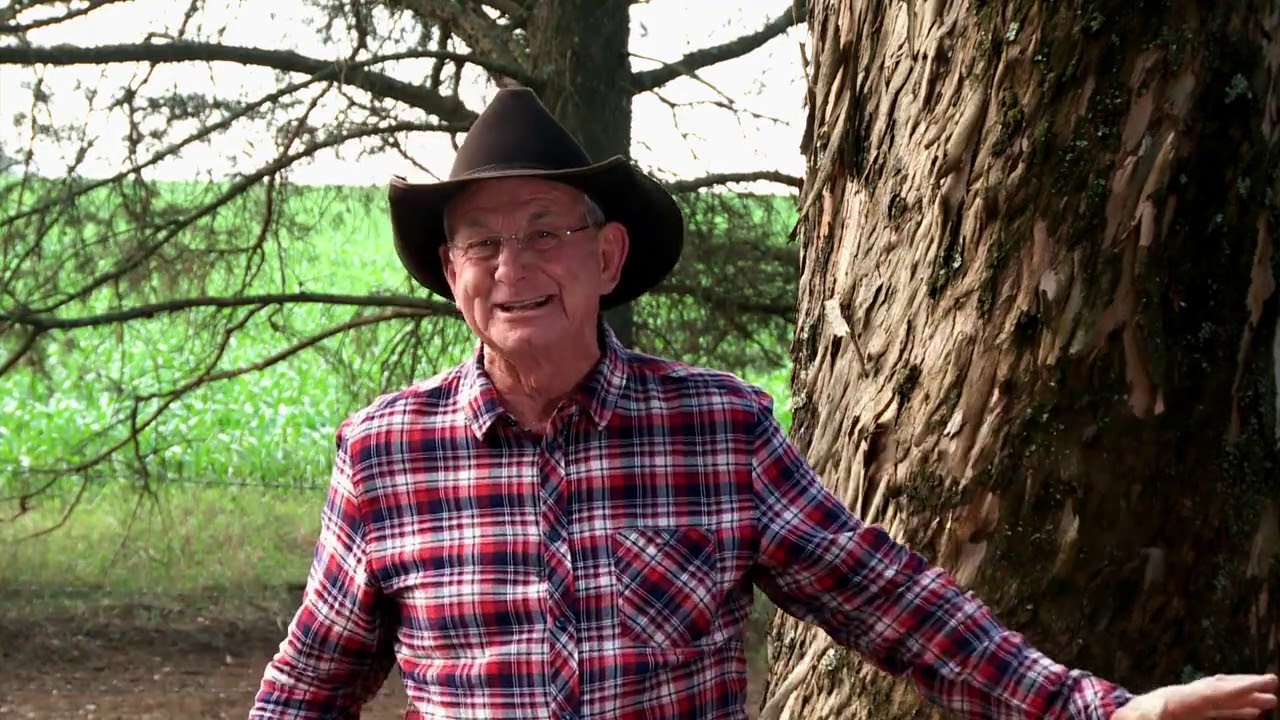 Immediately - Grassroots with Angus Buchan