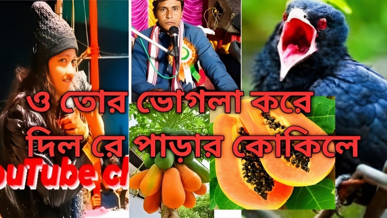 bangla Qawwali bachu Rafiq বাংলার বুলবুল রফিক Rafik 💌🫴❤️#islamicmusic #banglaqawwali