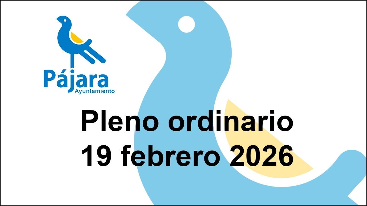 Pleno Ordinario del 19 de febrero de 2026