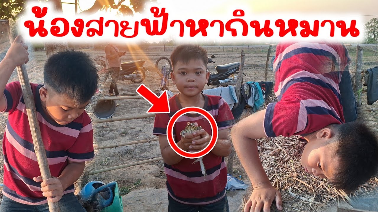 น้องสายฟ้าหากินหมานเดอ หาเฝกะปูได้กบ
