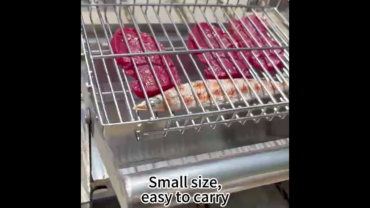 ISO Drehbare Fischgrill
