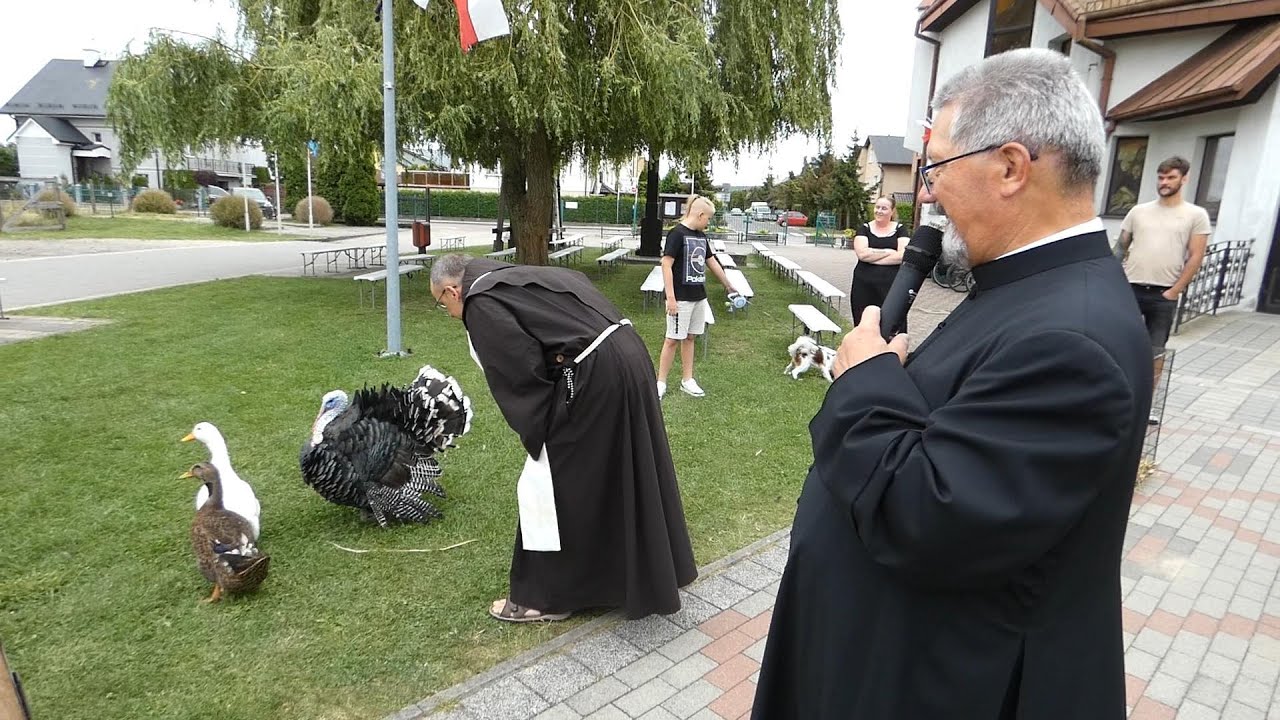 Błogosławieństwo zwierząt 2025