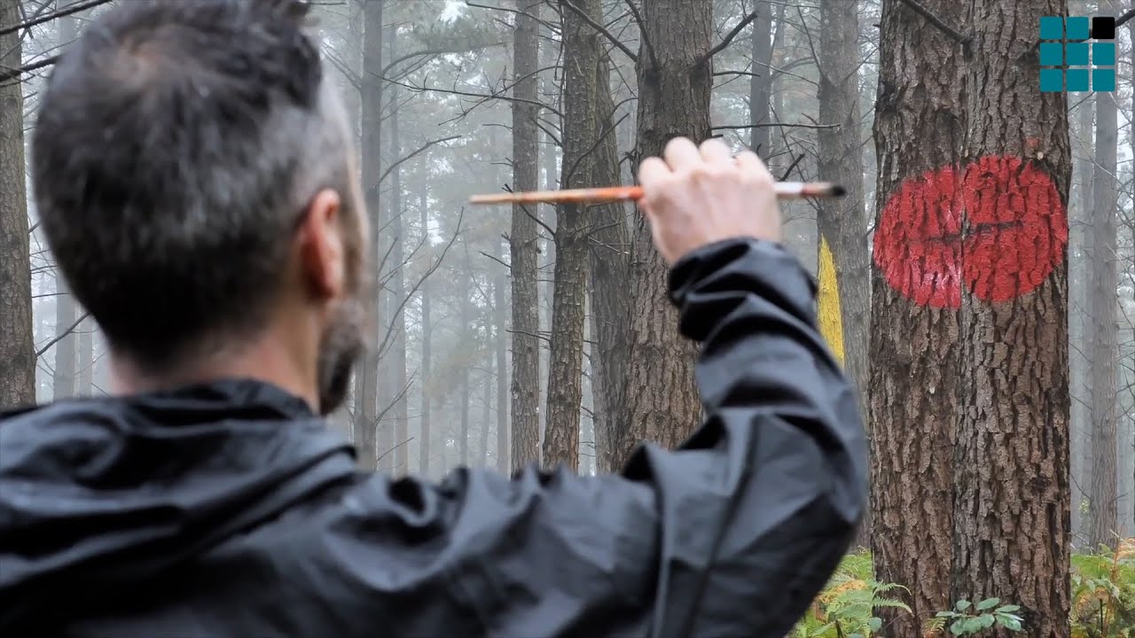 El renacer del 'Bosque de Oma' de Agustin Ibarrola