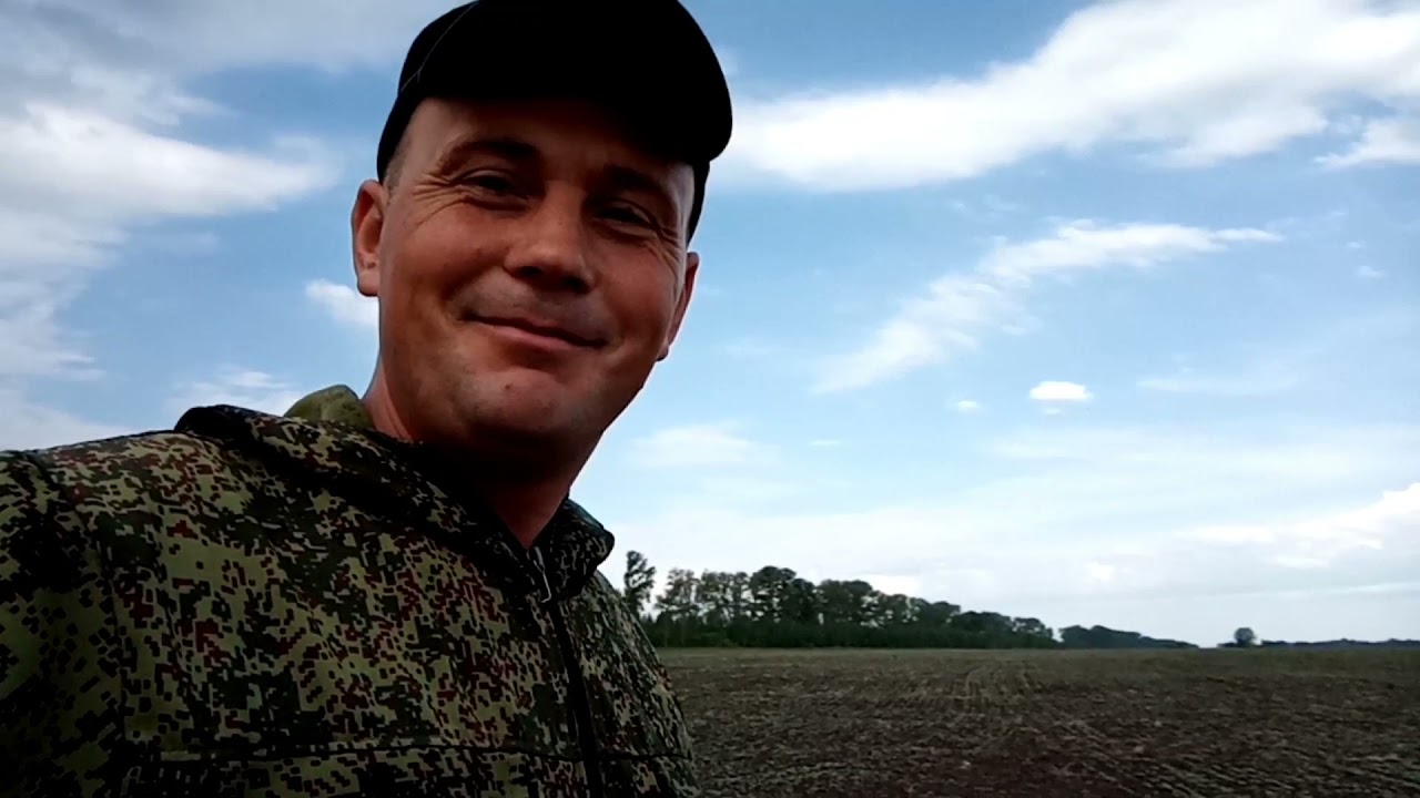 Обзор всходов. Овёс горох. Вика.