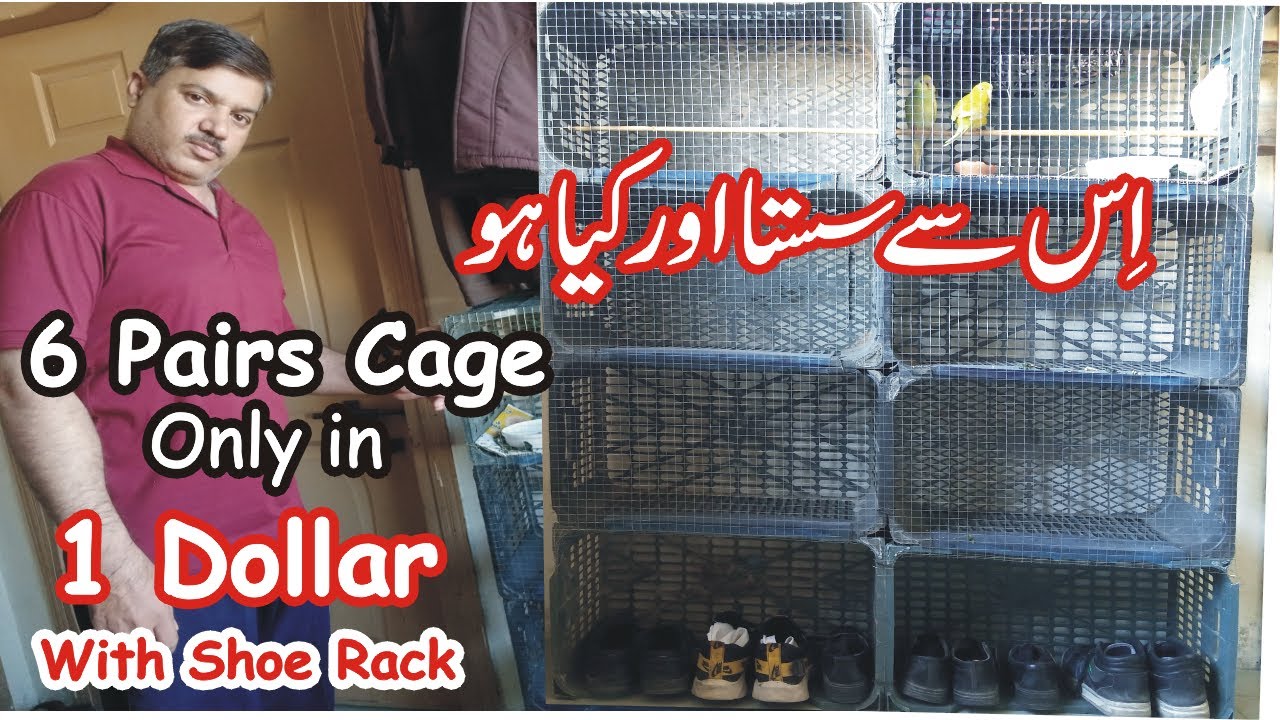 Cheapest cage ever...👆