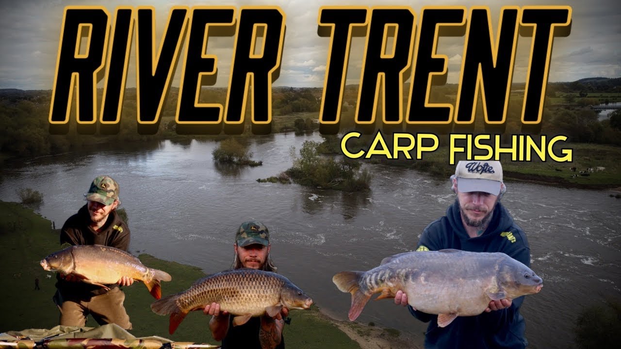 *RIVER CARP FISHING* Carpfishing on the river TRENT