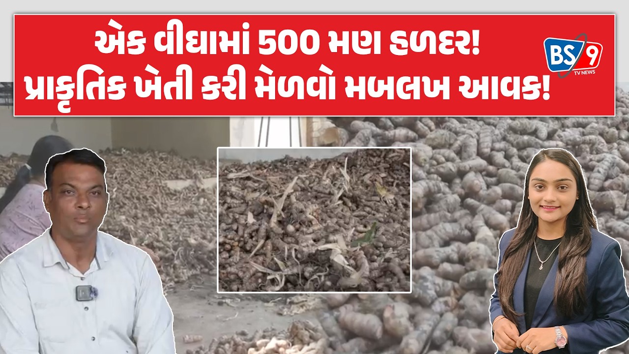 પ્રાકૃતિક ખેતી।હળદરની ખેતીએ ખેડૂતને કર્યા માલામાલ!। BS9 TV NEWS