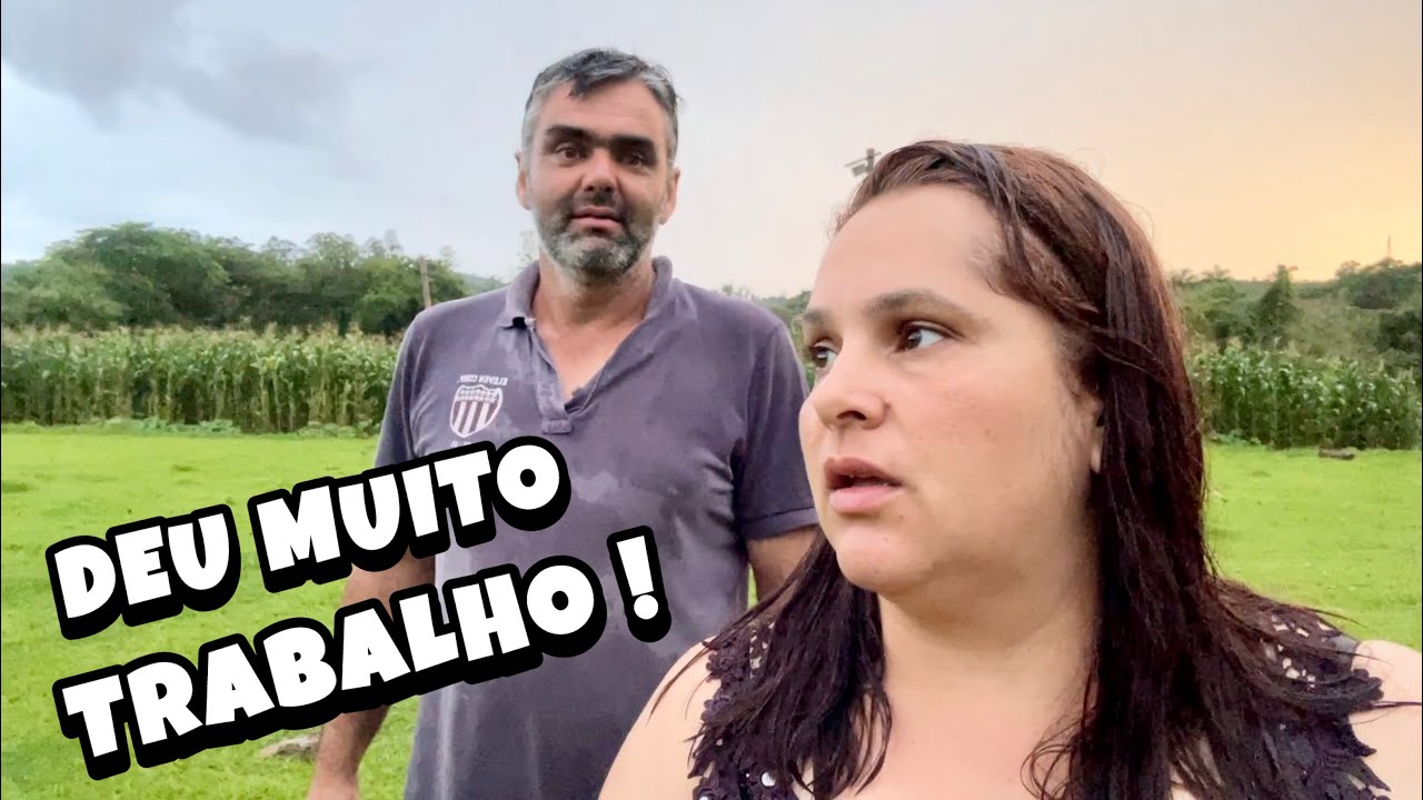 DEPOIS DA CHUVA FORTE, FOI SÓ CORRERIA AQUI NO SÍTIO🏡🌧️