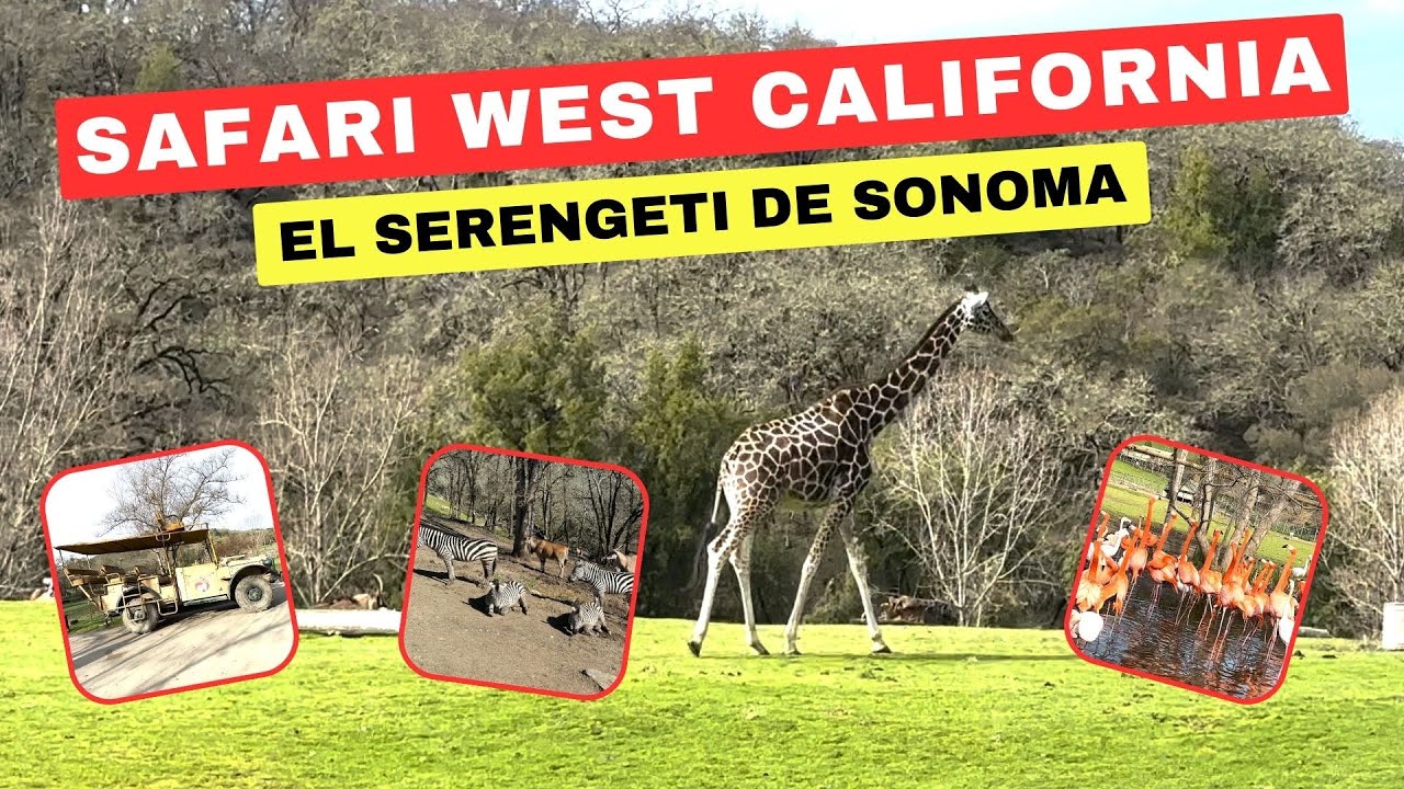 2024 TOUR DE SAFARI WEST 
