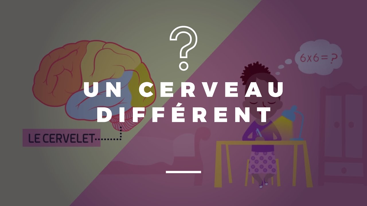 Un cerveau différent comment faire ?
