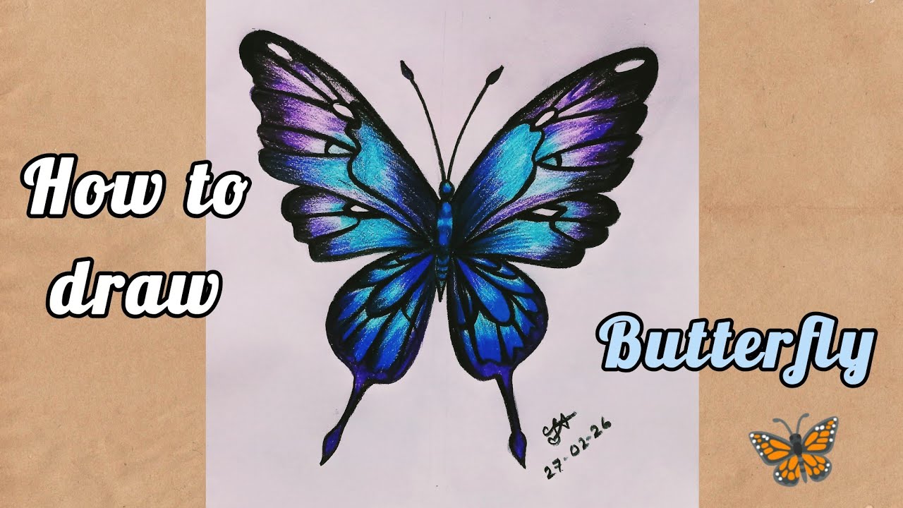 How to draw and colour Butterfly 🦋✨✨#drawing #colour#butterfly 