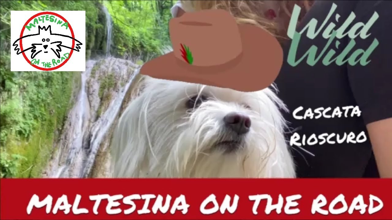 CASCATE RIOSCURO - Maltesina on the road a Cineto Romano