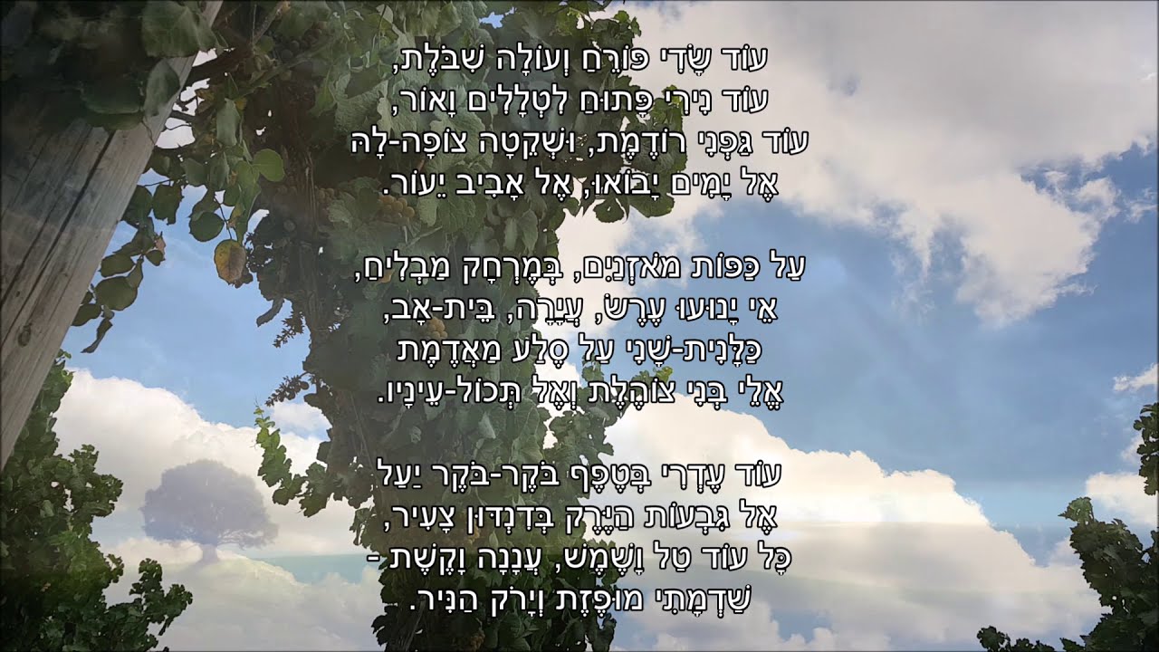 שיר עד - עוד שדי פורח - מילים: פניה ברגשטיין | לחן: דוד זהבי | שירה: דורון תבורי, 2003, Doron Tavori