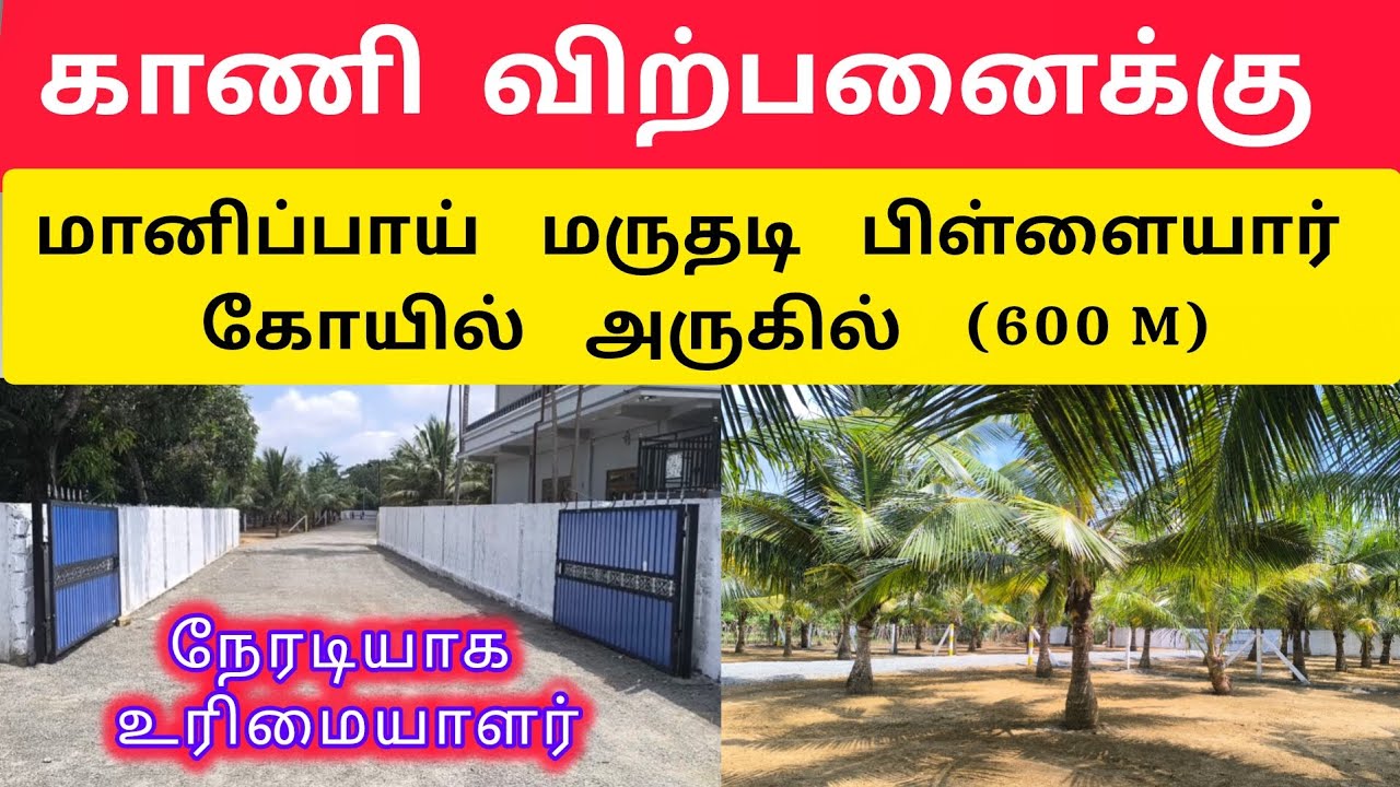 🛑 யாழ் மானிப்பாயில் காணிகள் விற்பனைக்கு | 📞உரிமையாளர் #home #srilankantamilvlog #house 