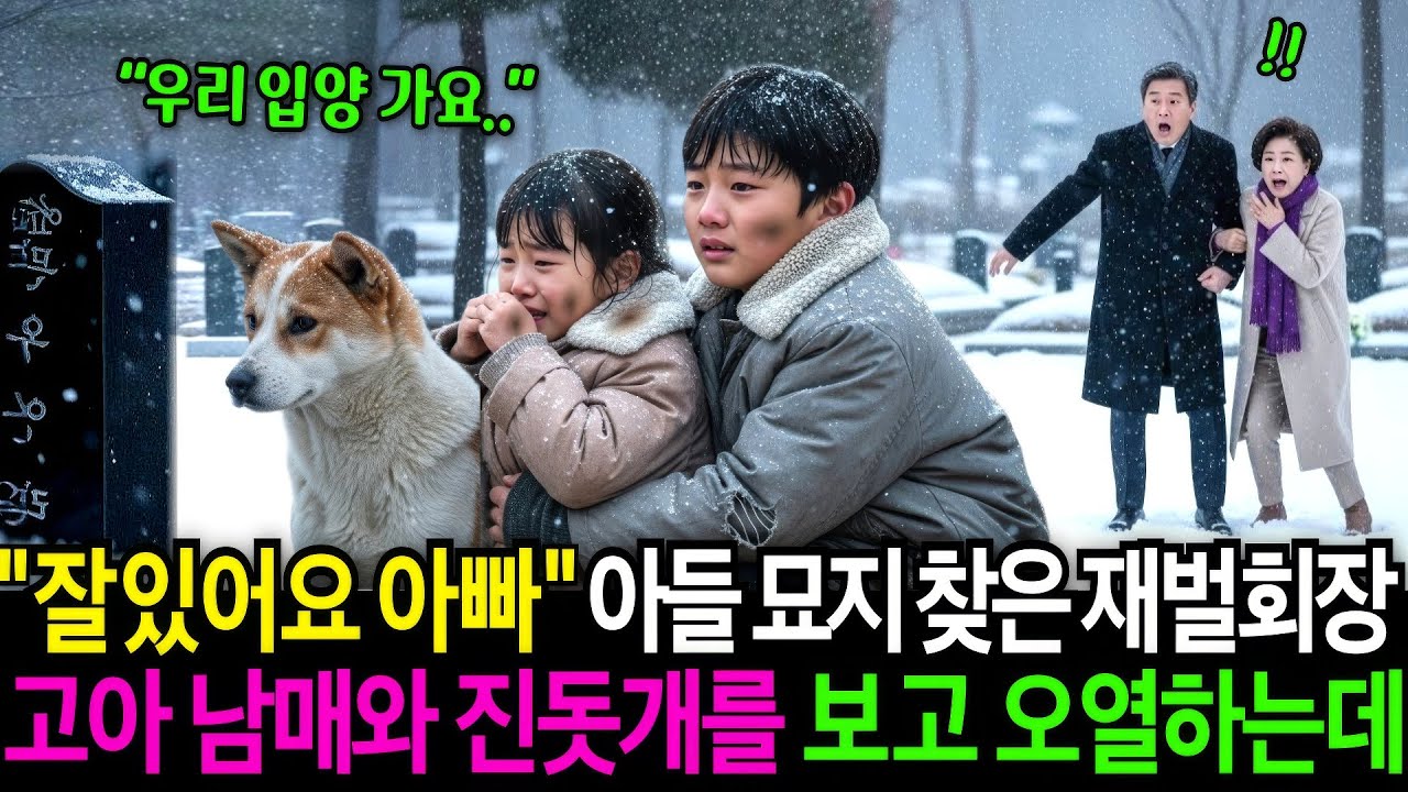 “우리 입양 가요.. 평생 아빠 안 잊을게." 고아 남매와 백구의 작별 인사.. 아들 기일에 묘지 찾은 재벌회장 부부는 그 자리에서 오열하는데.. | 감동사연 | 시니어드라마 |