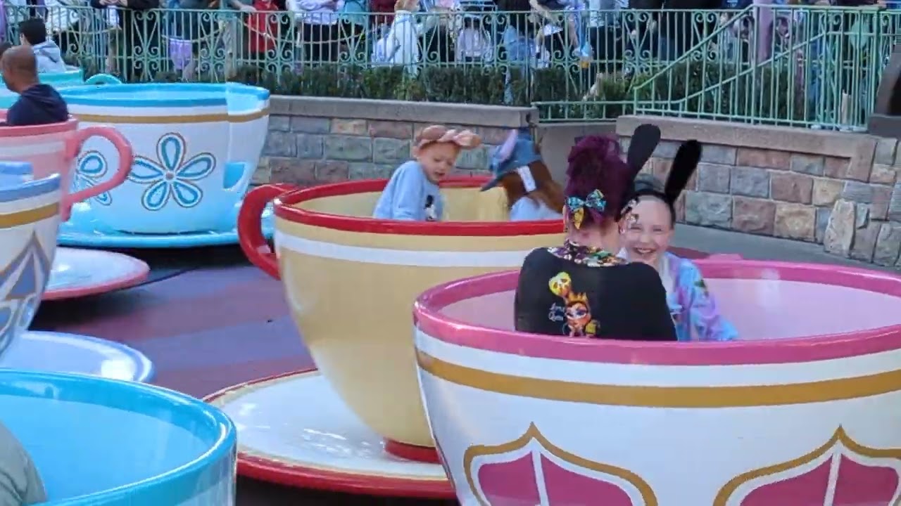 Family on the Teacup Ride