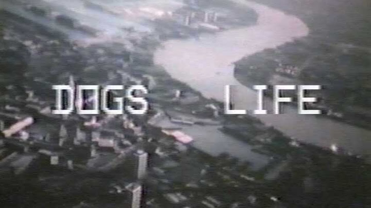 Dogs Life - Issue 1, 1984 (Isle of Dogs video magazine)