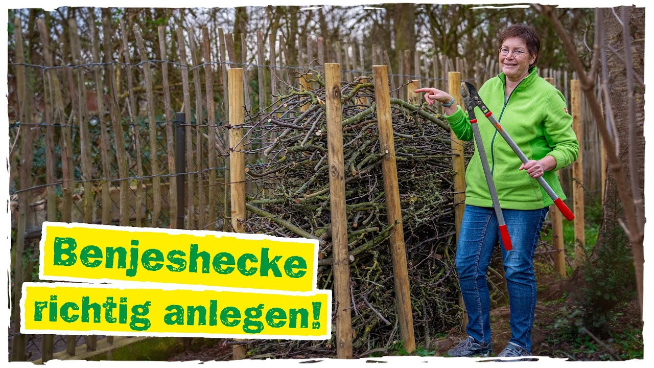 BENJESHECKE: Lege eine lebende Hecke in deinem Garten an