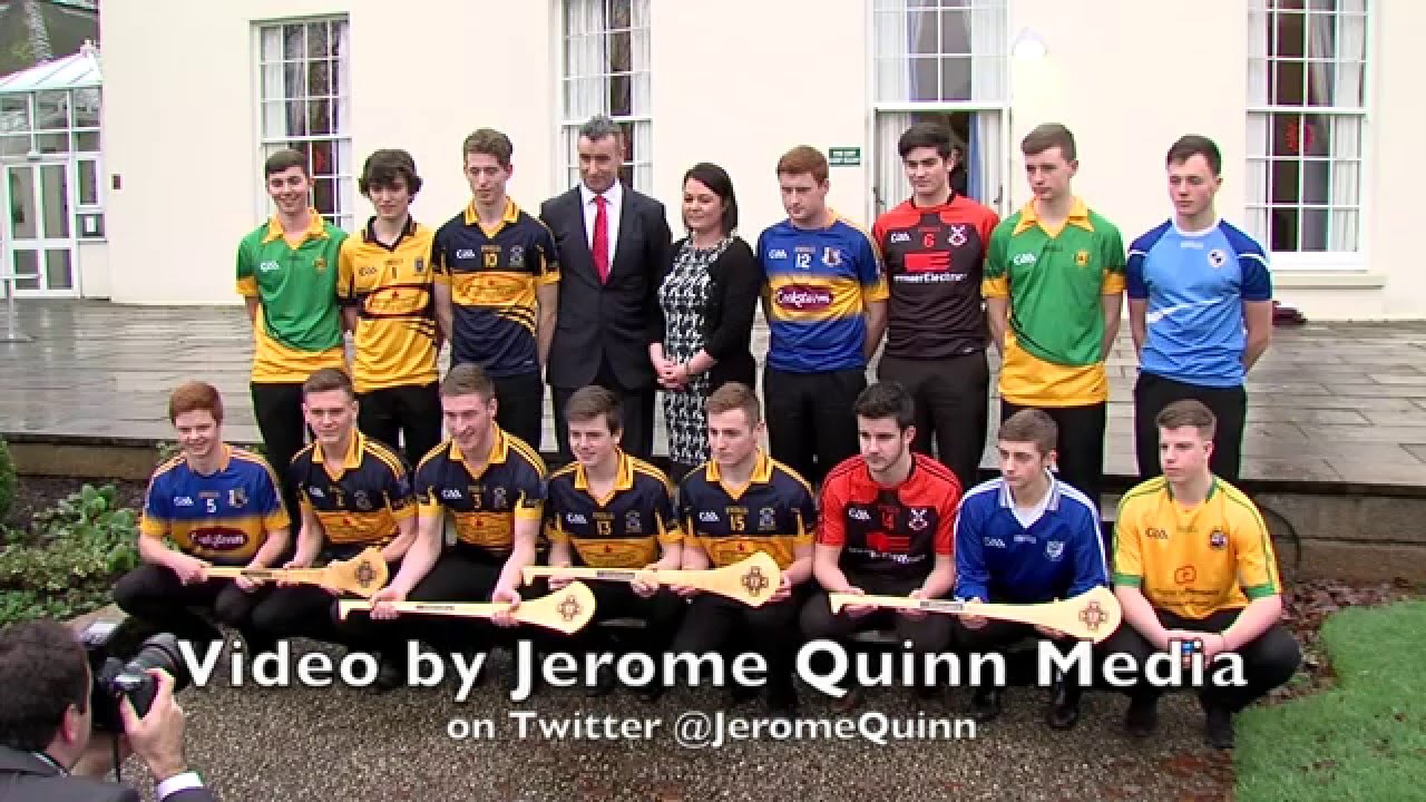 2015 Danske Bank Hurling All Stars