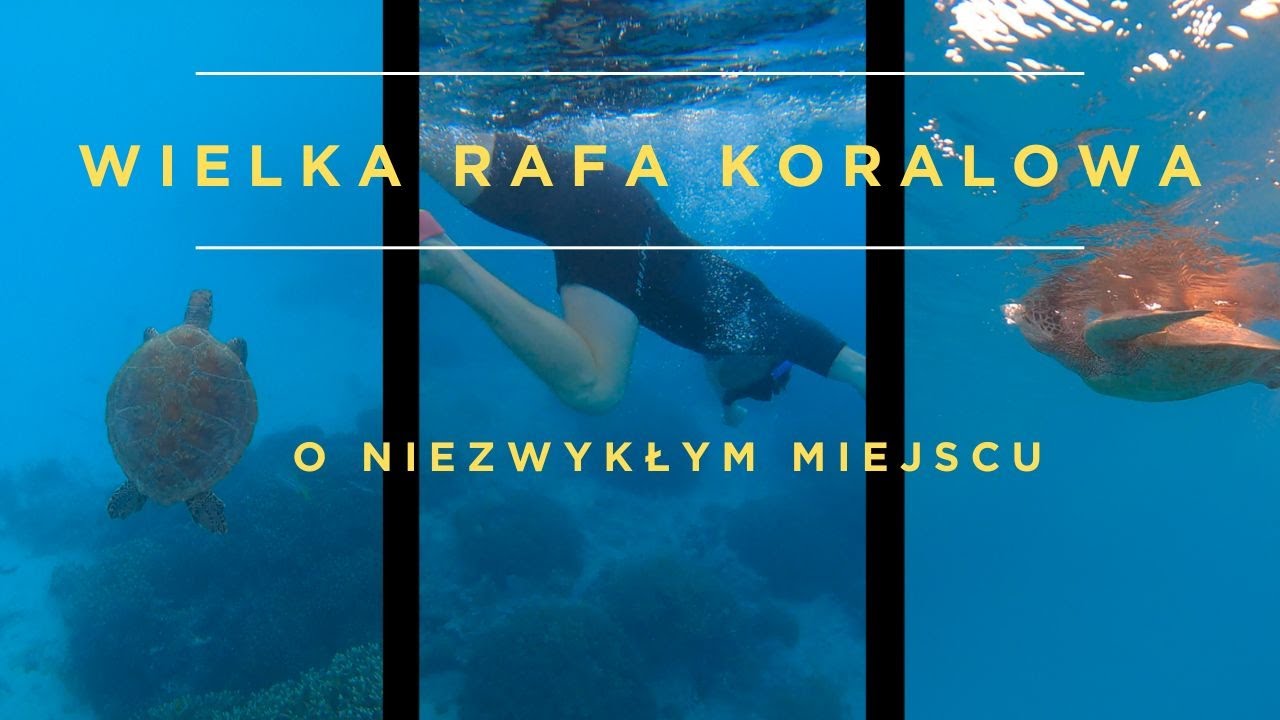 Wycieczka na Wielką Rafę Koralową - Heron Island (Australia) | Great Barrier Reef  - Heron Island