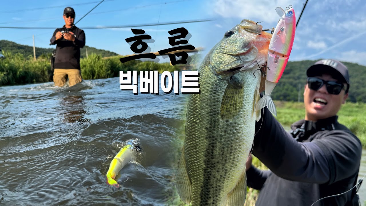 휘몰아치는 흐름을 이용하는 여름 배스들! 빅베이트에 열광하고 있습니다