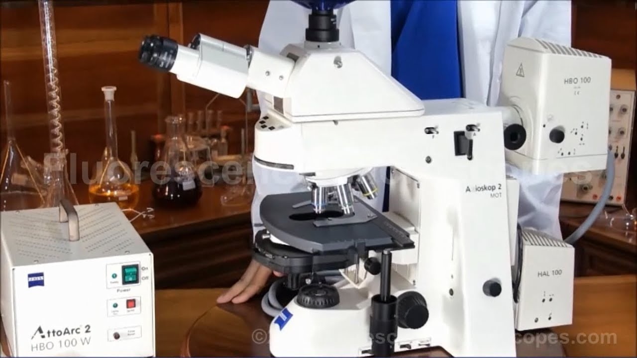 Zeiss Axioskop 2 MOT Motorized Upright DIC Fluorescence Microscope (SKU-061)