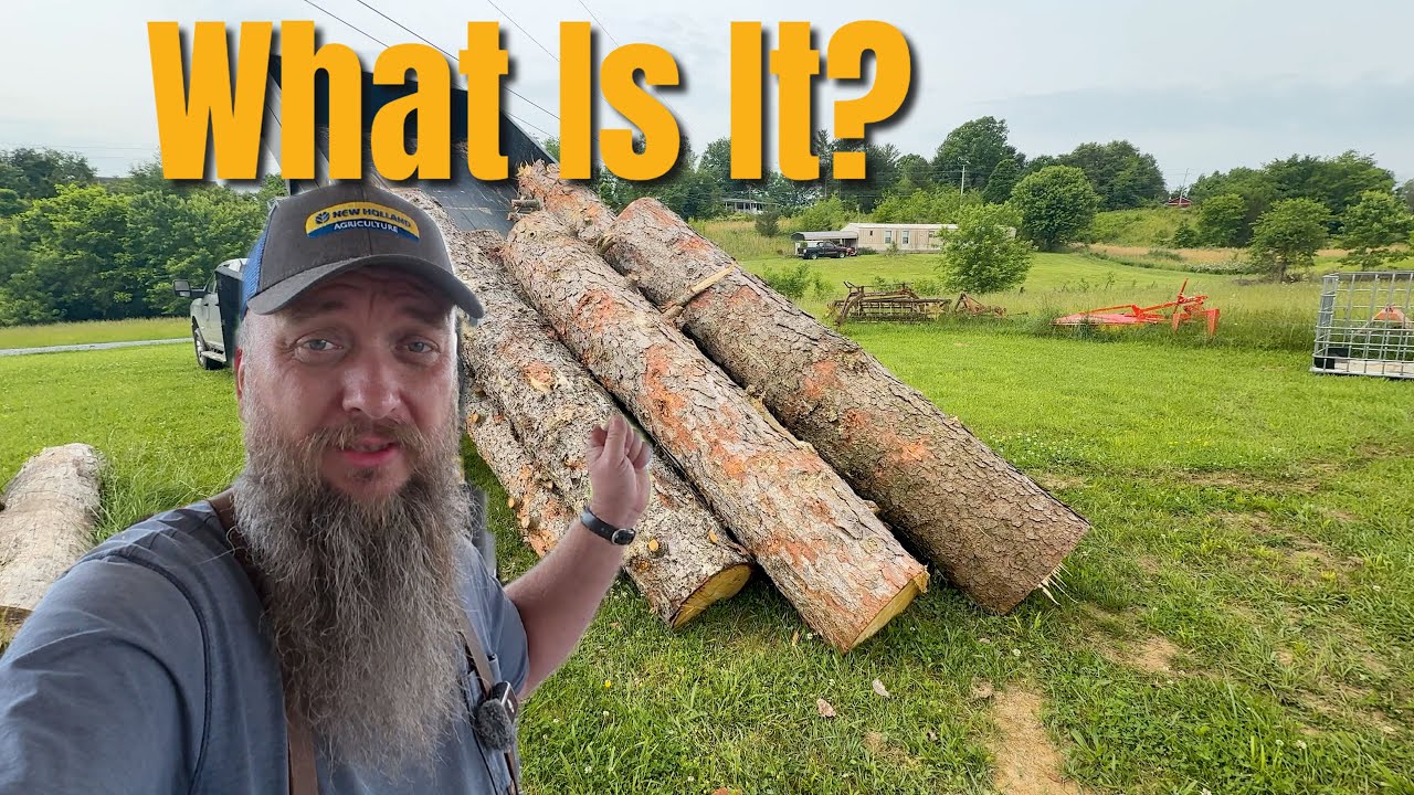 What&rsquo;s Inside These Mystery Logs? Sawmill Reveal