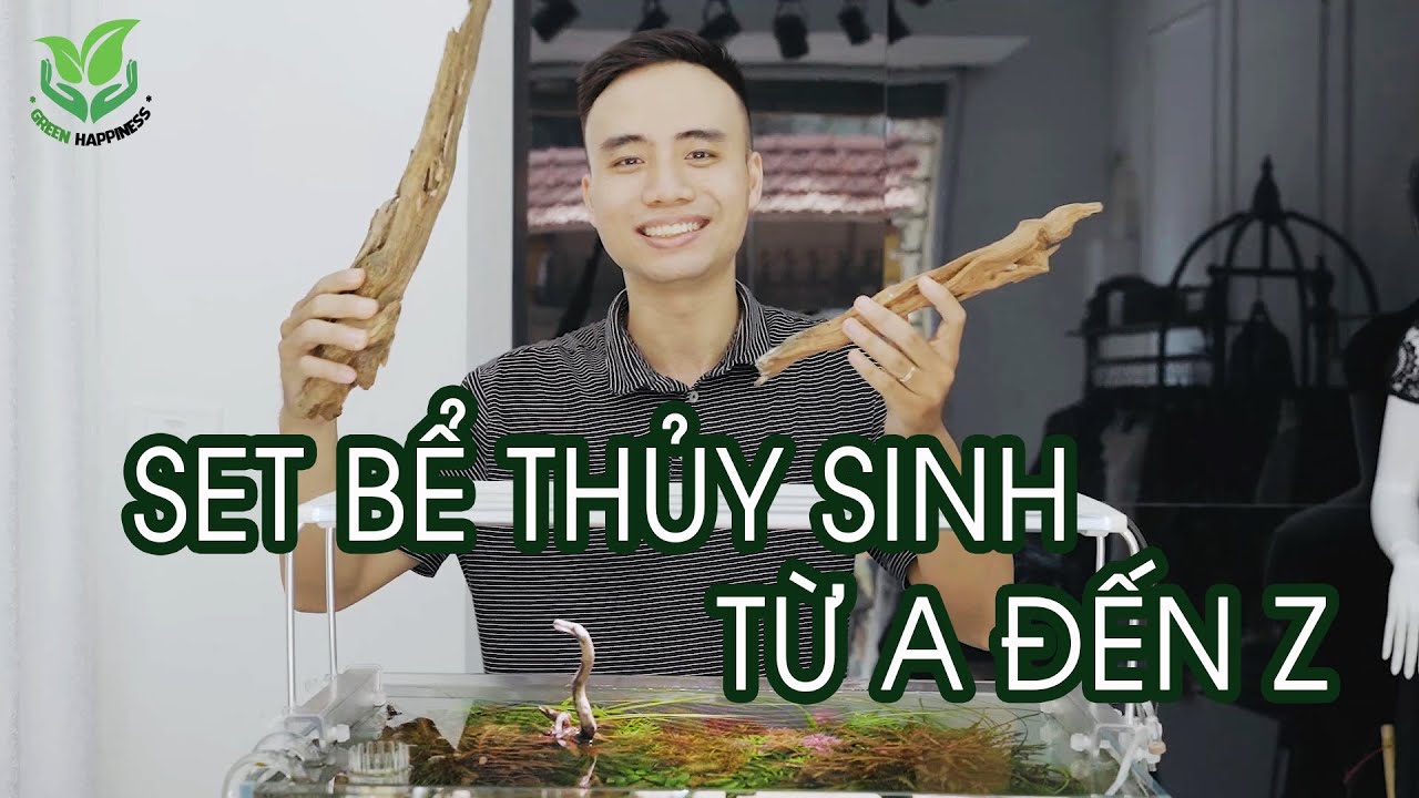 Hô biến 