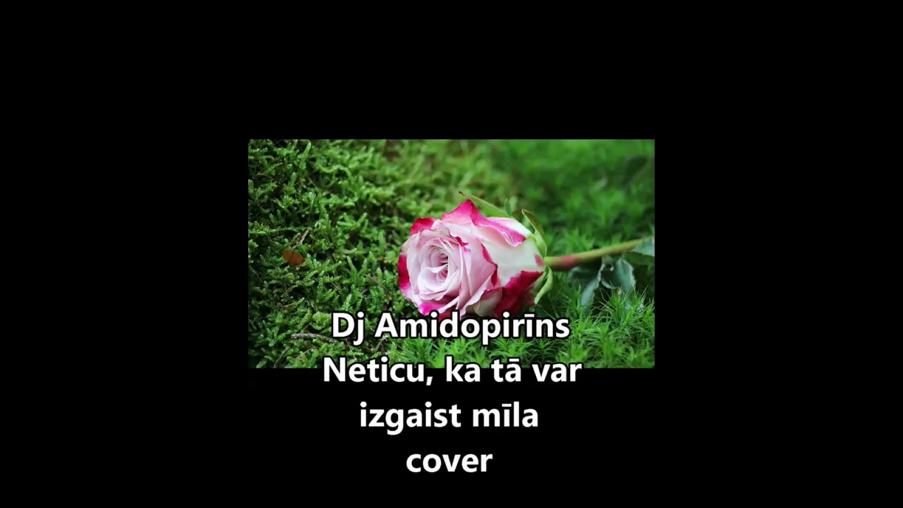 Neticu, ka tā var izgaist mīla (cover)