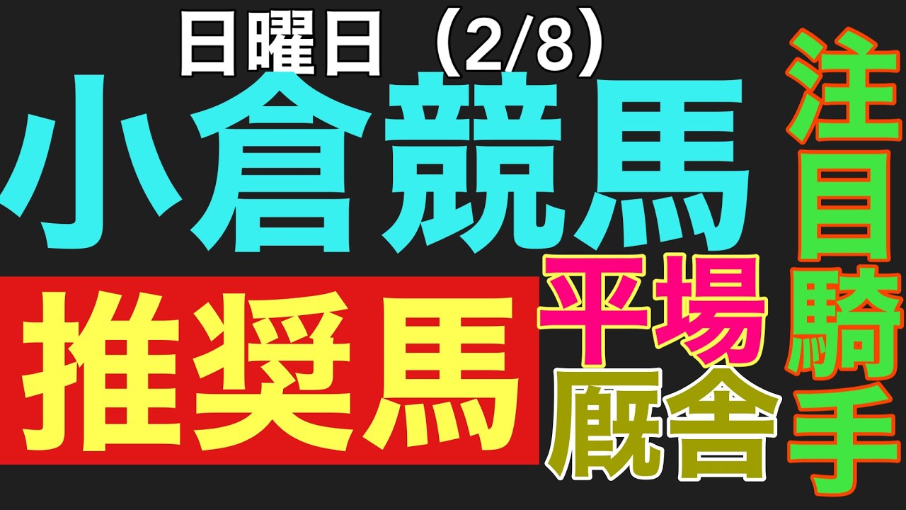 2026年2月8日