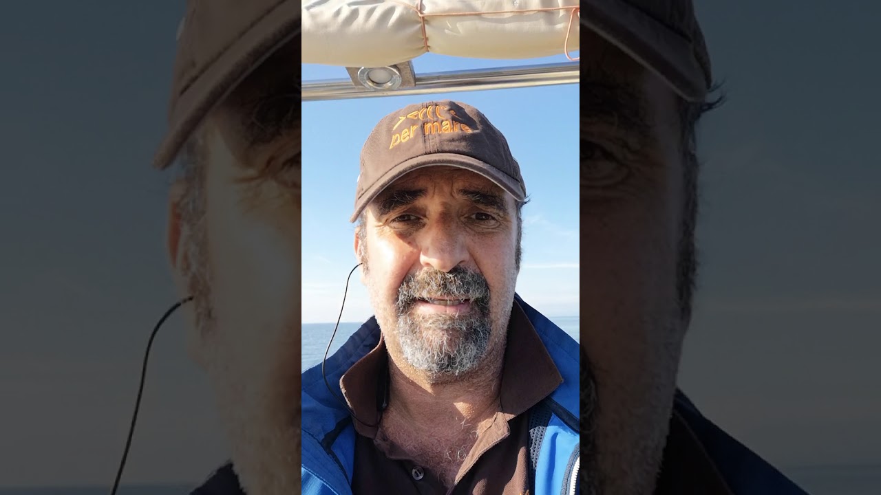 IL mediatore marittimo